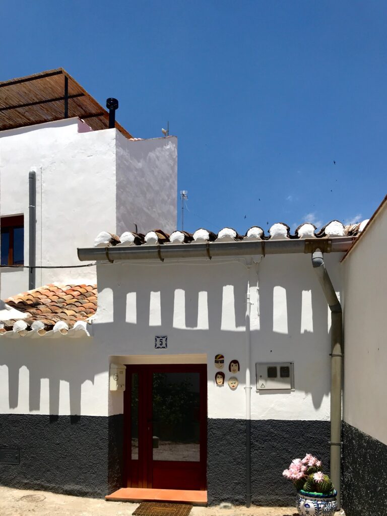 wejscie alegria