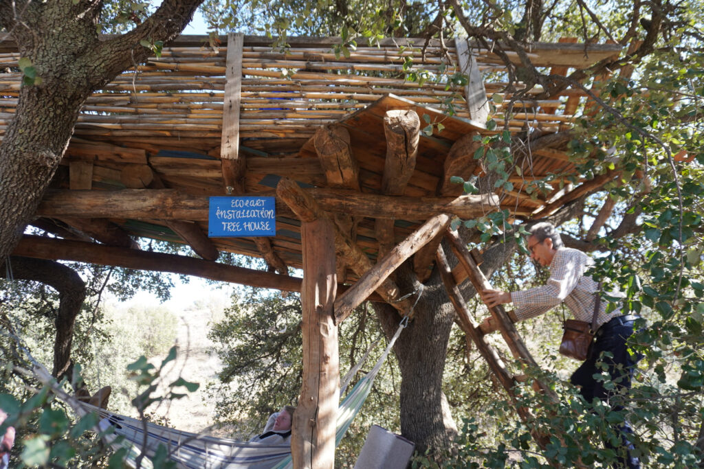 tree house construction